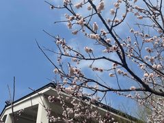 -广富林宰相府酒店·水云间