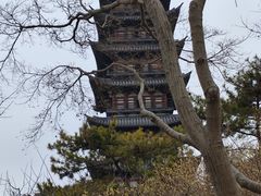 -上海方塔园