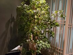 -鹤祥宫·影院足道·SPA连锁(苹果园店)