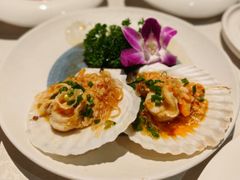-多佐铁板烧(富力广场店)
