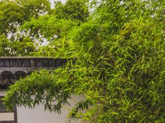 -南山风景名胜区