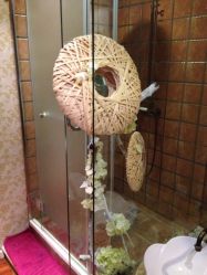 iphone_upload_pic-青青一生美皮肤管理