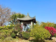 -海珠湖公园
