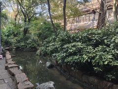 -黄龙溪古镇