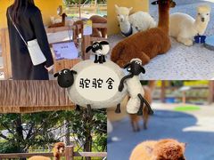 -珠海海泉湾神秘岛亲子乐园