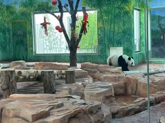 -秦皇岛野生动物园