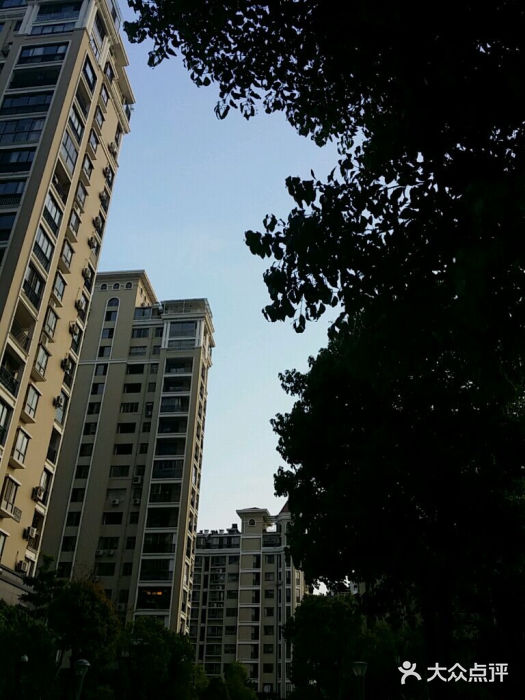 琴亭湖公园android_upload_pic图片