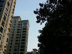 android_upload_pic-琴亭湖公园