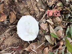 -七仙岭君澜度假酒店