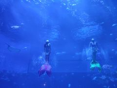 -南昌融创海世界
