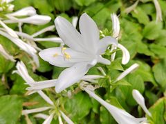 -森林公园(尖草坪区)