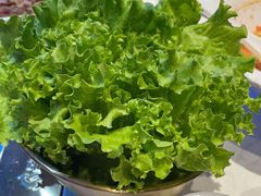 -杨记齐齐哈尔烤肉(总店)