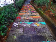 -广州白江湖森林公园