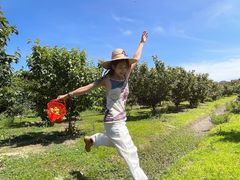 -塘栖枇杷特色园区