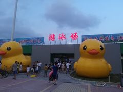 -珠海市体育中心-游泳馆