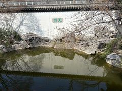 -常熟方塔园