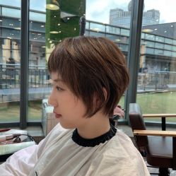 -IDOL-PLUS