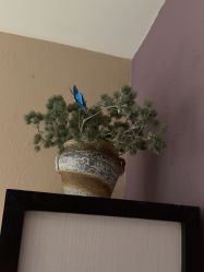 -香秀空间科技抗衰·美容中心