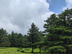 -芦芽山旅游度假区