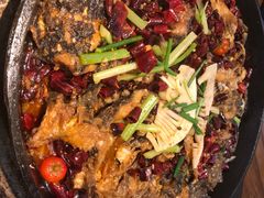 -老板恋上鱼(印象城店)