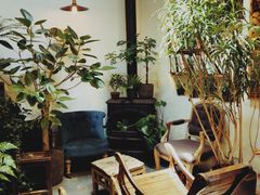 -植觉