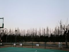 -前小桔亲子创意农场·草莓采摘·露营烧烤