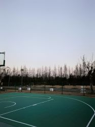 -前小桔亲子创意农场·草莓采摘·露营烧烤
