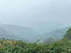 -广州市白云山风景名胜区