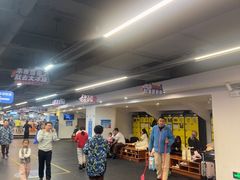 -世界之窗阿尔卑斯冰雪世界
