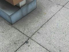 -望海潮海鲜店 特色家常菜(在海一方店)