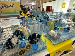 -易生活购物公园
