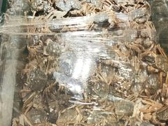 -欢乐牧场海鲜烤肉自助(牡丹园店)