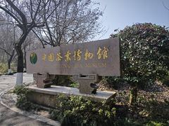 -中国茶叶博物馆(双峰馆区)
