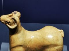 -温州博物馆
