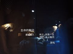-成都许燎源现代设计艺术博物馆
