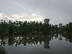 -春花秋色城市公园