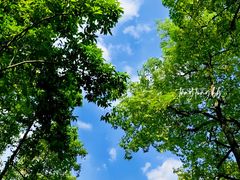-晓港公园