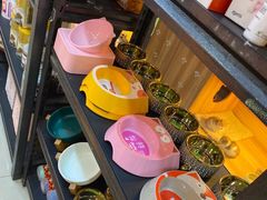 -喵百万·布偶·蓝金金渐层英短·猫舍(百子湾店)