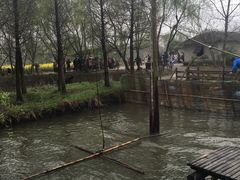 -溱湖国家湿地公园