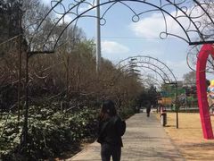 -洛阳市牡丹公园