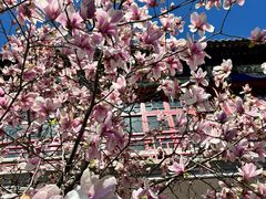 -华声天桥民俗文化园