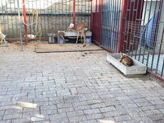 -有喜胶东小馆(超极合生汇太申祥和店)