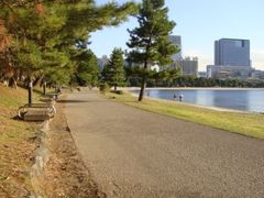 -台场海滨公园船码头
