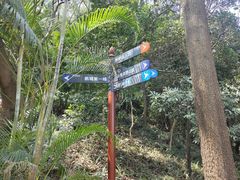 -梧桐山风景名胜区