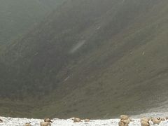 -硗碛藏寨·神木垒景区