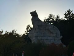 -帽儿山国家森林公园