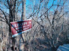 -白草畔自然风景区