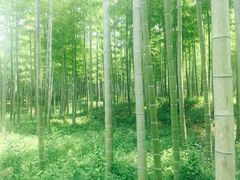 -天下银坑
