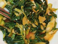 -食德喜·阳山鸡王食研基地