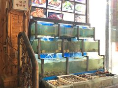 水产区-老东镇啤酒屋海鲜加工·蒸汽海鲜·海鲜烧烤(台东店)